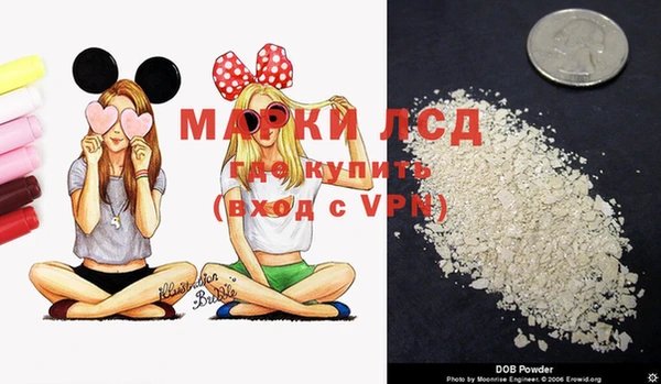 спайс Мегион