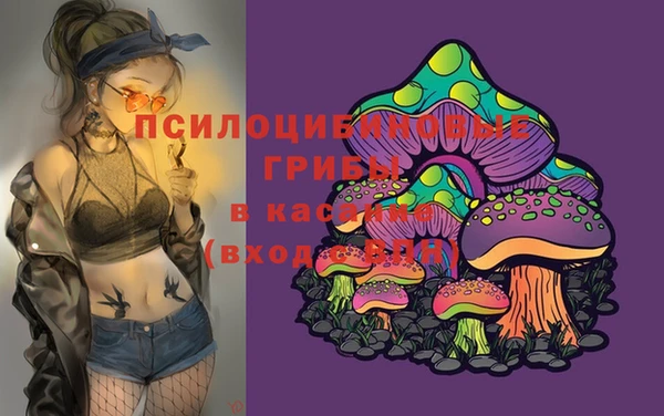 таблы Михайловск
