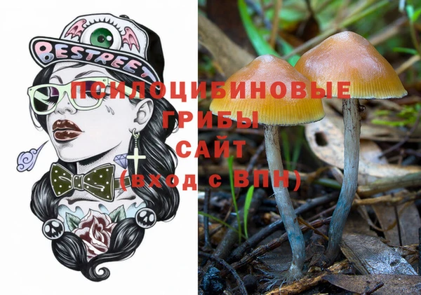 спайс Мегион