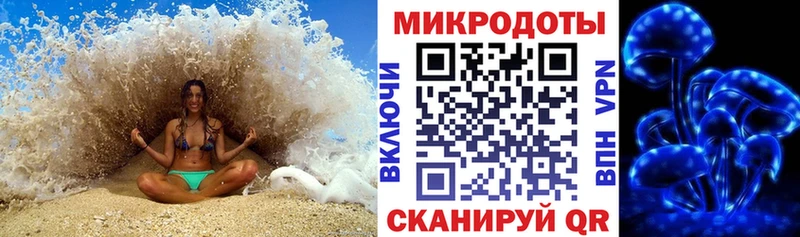 Купить где  Кириши  Псилоцибиновые грибы Magic Shrooms 